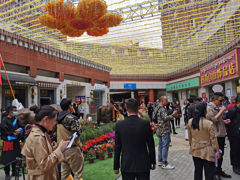 西藏花卉藝術節——主場節日設計搭建